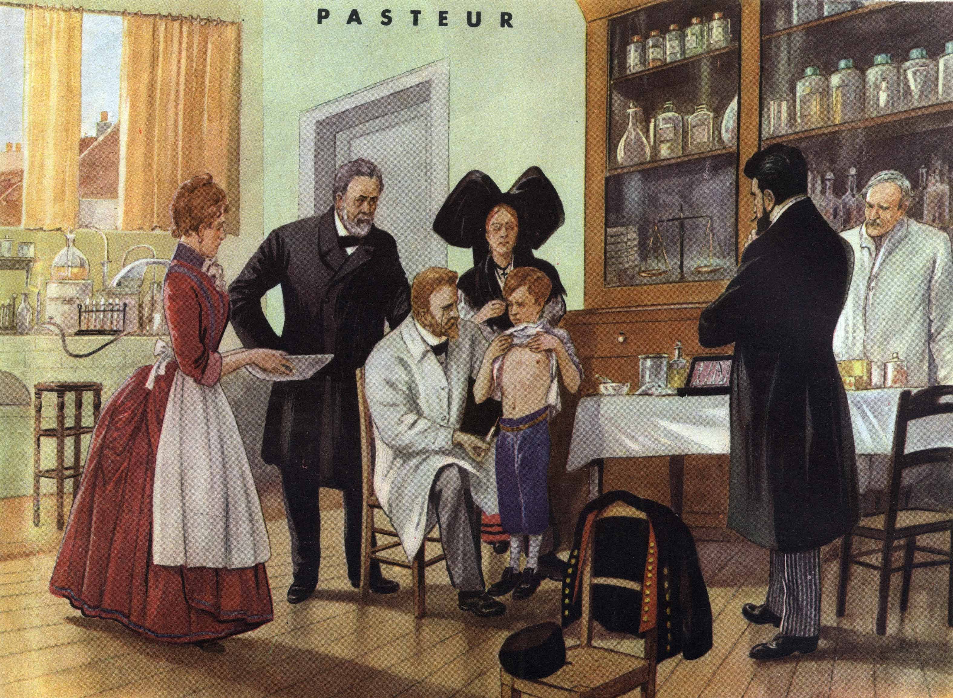 66 pasteur