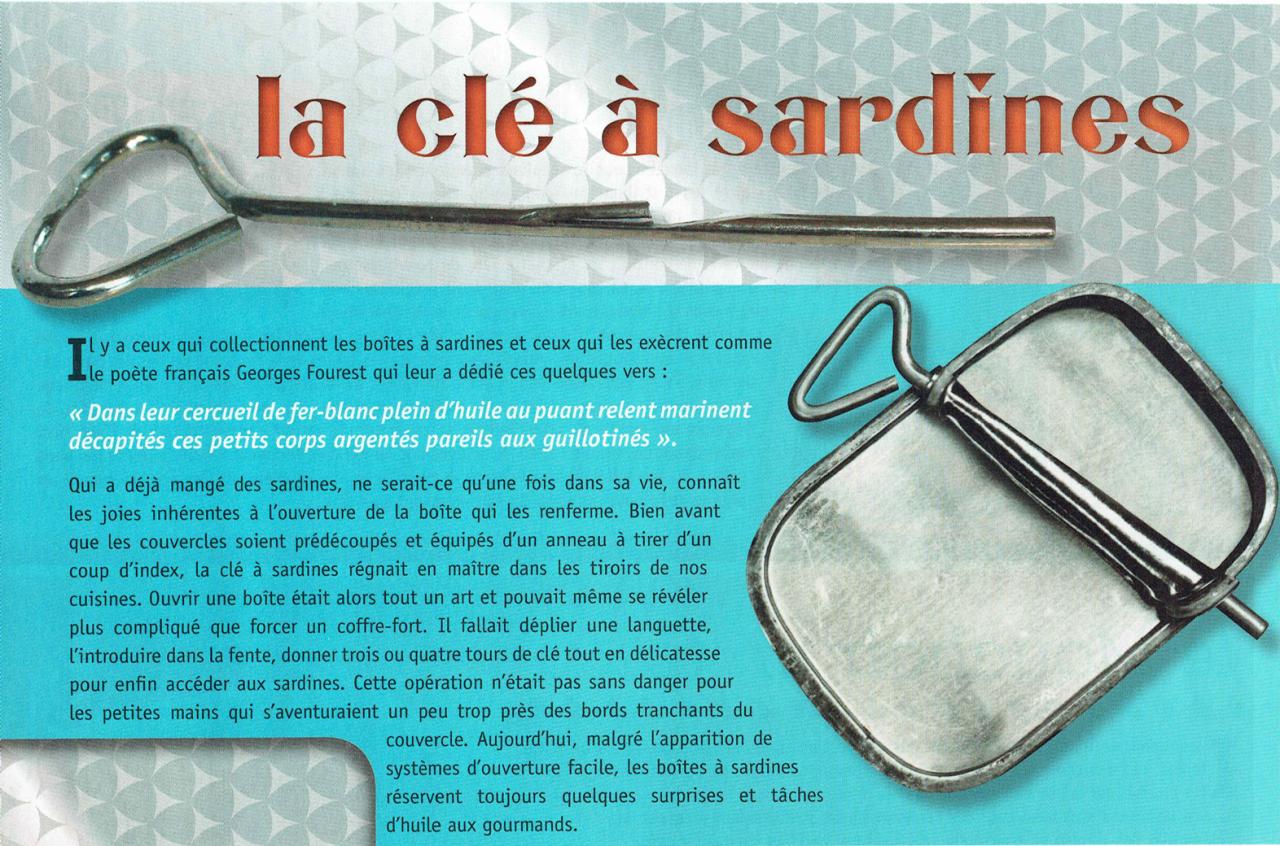 Clé à sardine