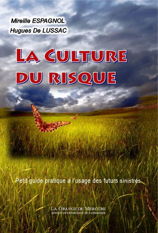 La culture du risque web